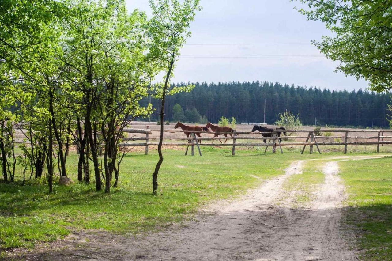 Eco Dom V Lesu Hostal Bila Krynytsia Exterior foto